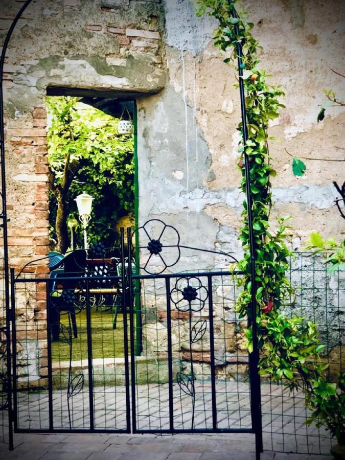 Locanda Etrusca Bibbona Kültér fotó